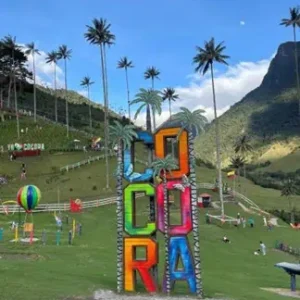 Valle del cocora parque nacional
